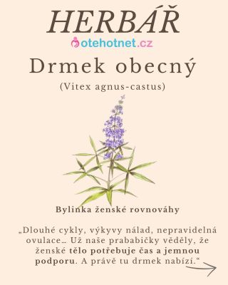 🌿 ADIEL herbář - Drmek obecný Bylinka ženské rovnováhy Nepravidelný cyklus? Krátká luteální fáze? Pocit, že tělo běží...