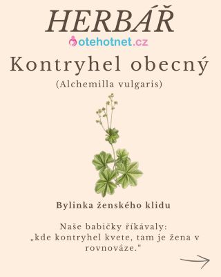 🌿 ADIEL herbář : Kontryhel obecný Bylinka ženského klidu Naše babičky o něm věděly své. Kontryhel sbíraly při svítání,...