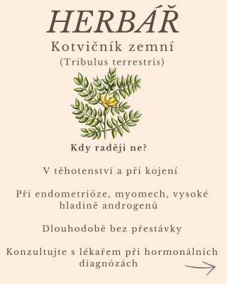 🌿 Kotvičník – síla, libido a plodnost Bylinka, kterou znají sportovci, muži hledající energii… ale i ženy, které touží po...