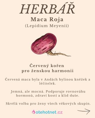 🌺 Maca Roja – červený kořen pro ženskou rovnováhu Některé bylinky k nám mluví jemně – ale hluboko. Červená maca je jednou...